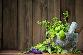 Plantele aromatice, utile pentru tranzit intestinal și digestie